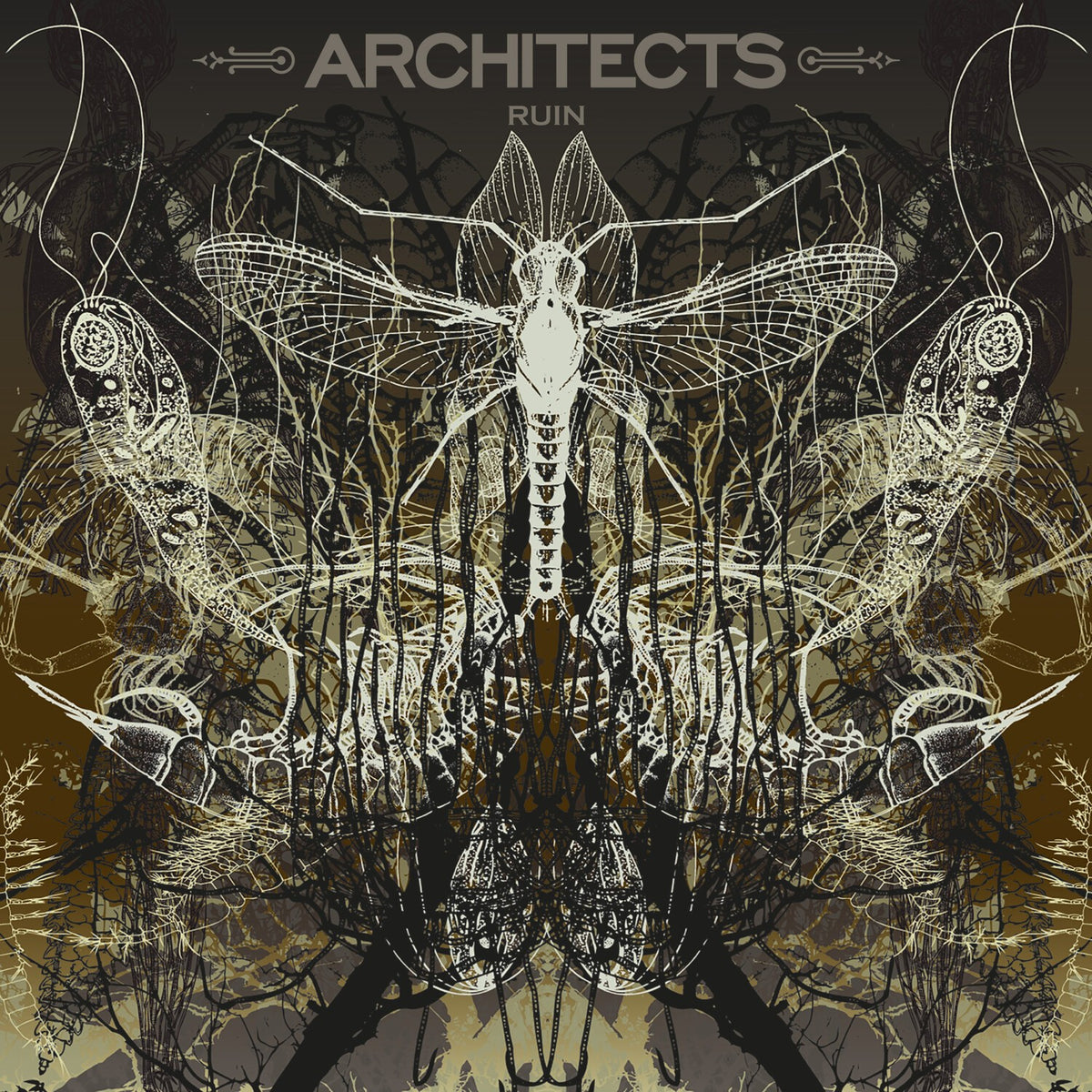 Ruin (Limited/Picture Disc)