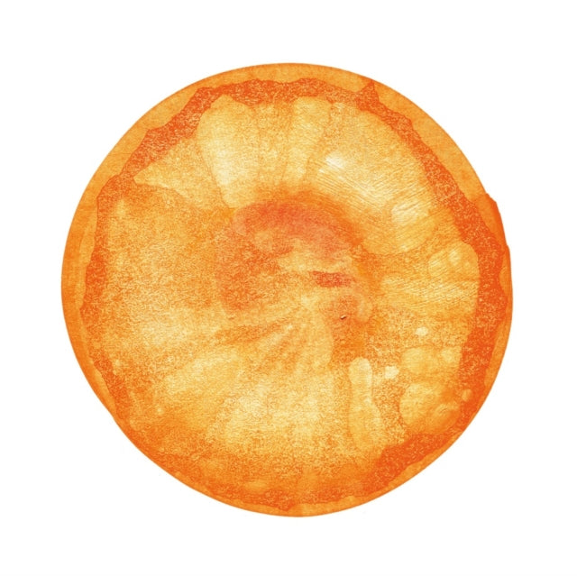 Uchu (Universe): The Best Of Fishmans (2LP/Clear Orange Vinyl)