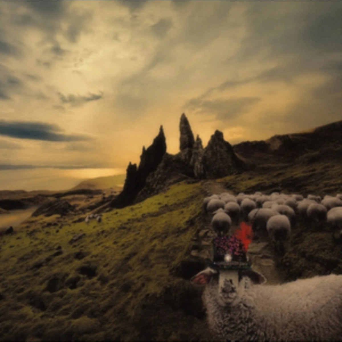 Sheeple