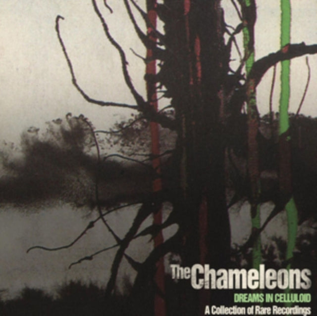 Dreams In Celluloid (2CD)