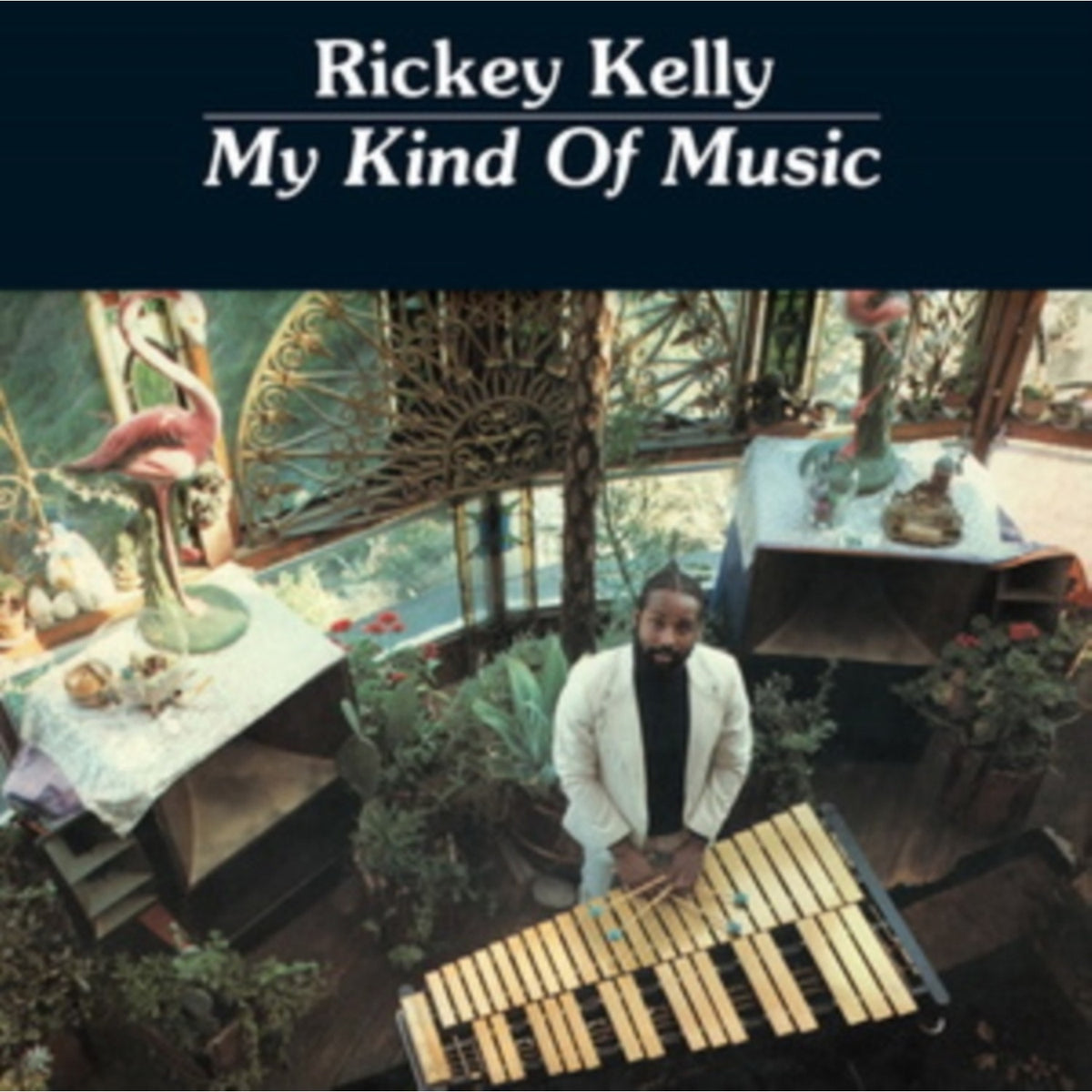 My Kind Of Music
