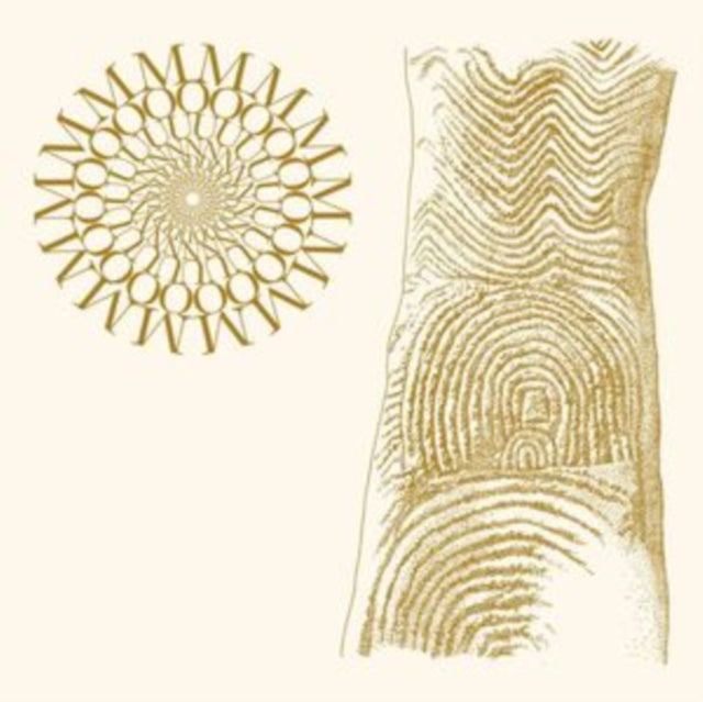 Flowers Rot, Bring Me Stones (Brown & Clear Speckle LP Vinyl)