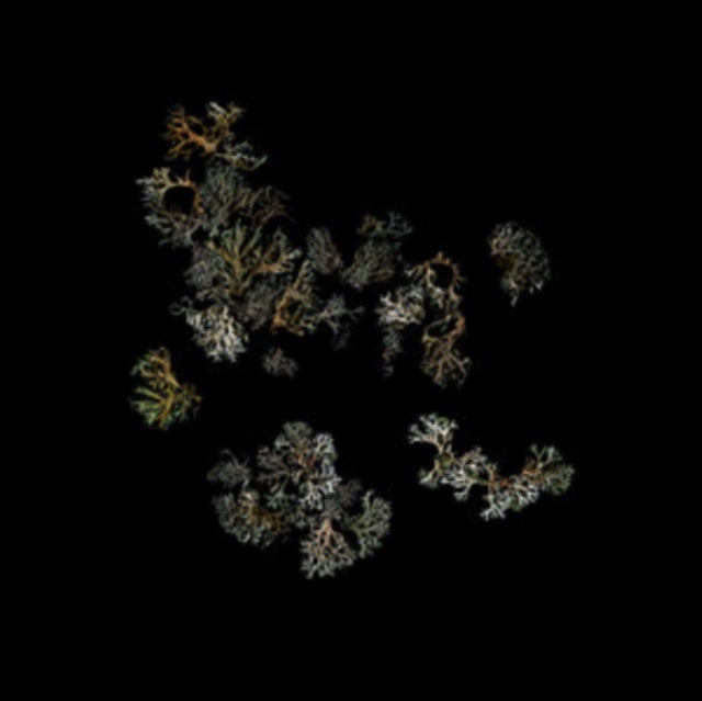 Return (2LP)