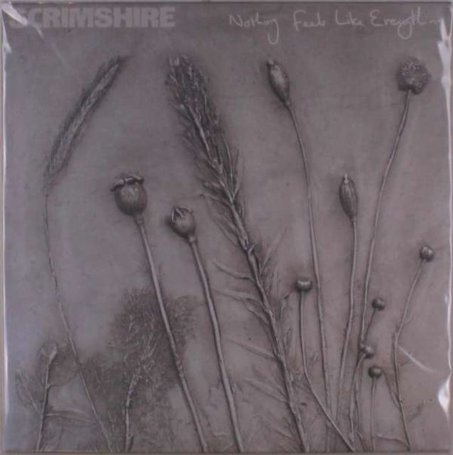 Nothing Feels Like Everything (Picture Sleeve)