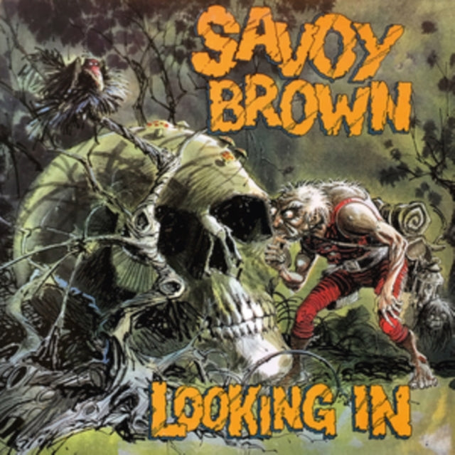 Looking In