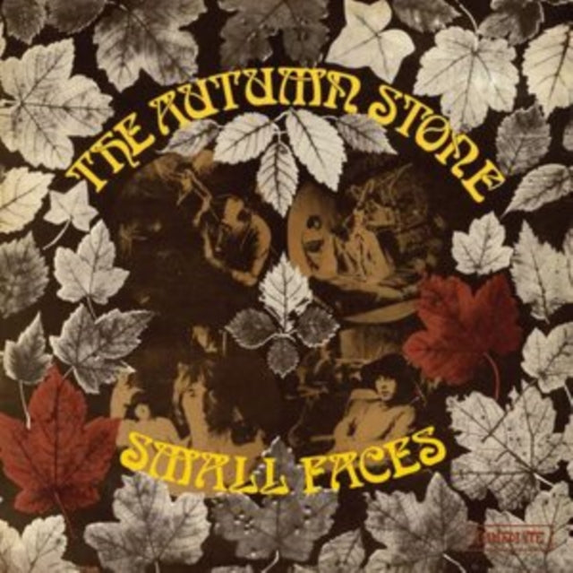 Autumn Stone