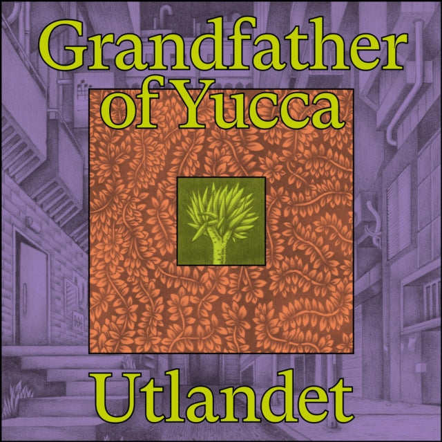 Grandfather Of Yucca