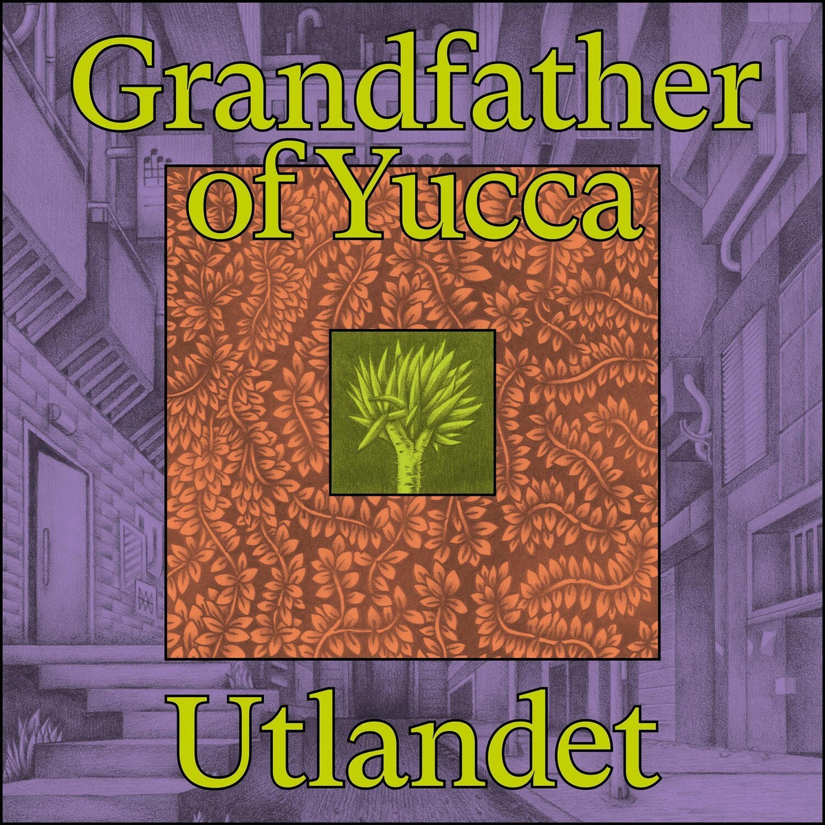 Grandfather Of Yucca