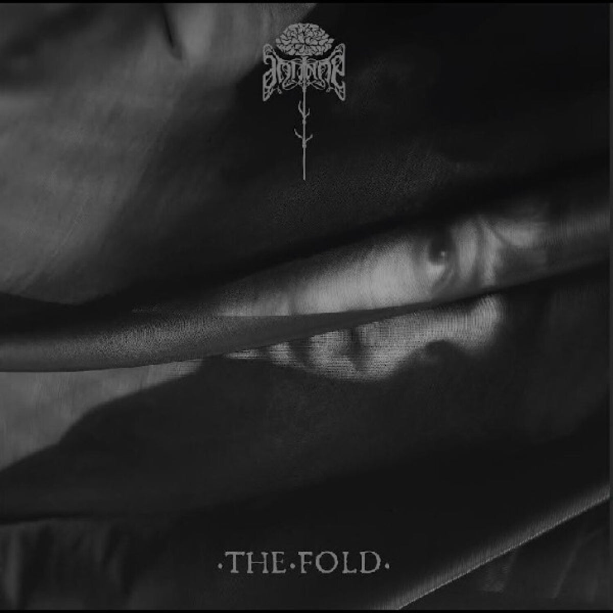 Fold