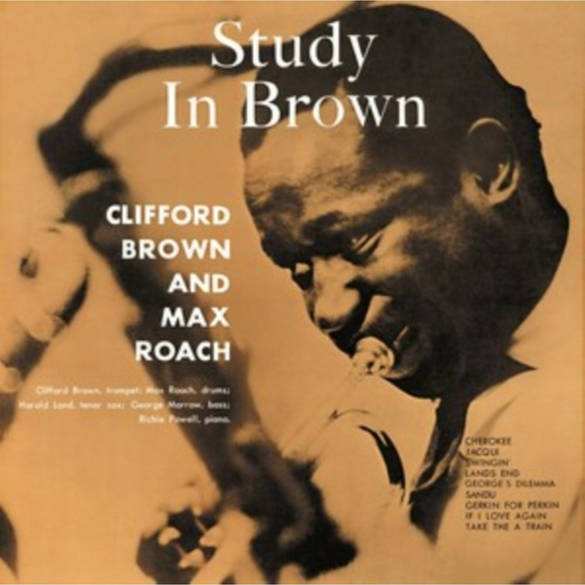 Study In Brown