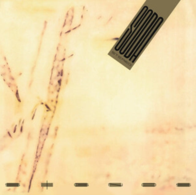 Signos (180G)