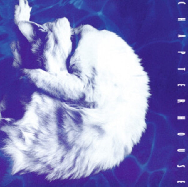 Whirlpool (180G)