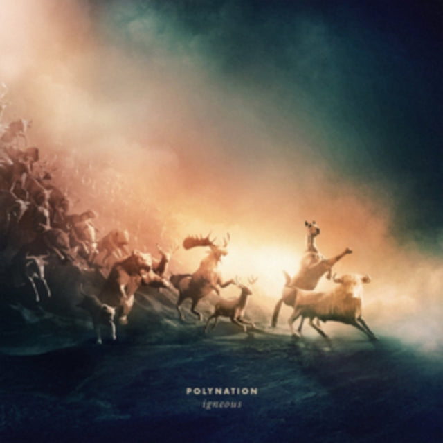 This LP Vinyl is brand new.Format: LP VinylMusic Style: DowntempoThis item's title is: IgneousArtist: PolynationLabel: ATOMNATIONBarcode: 8719925220241Release Date: 6/28/2019