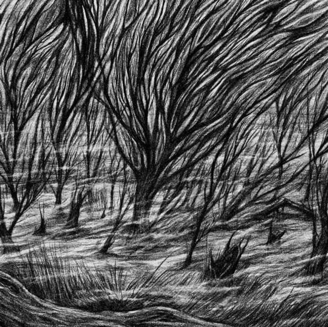 Eternal Marshes