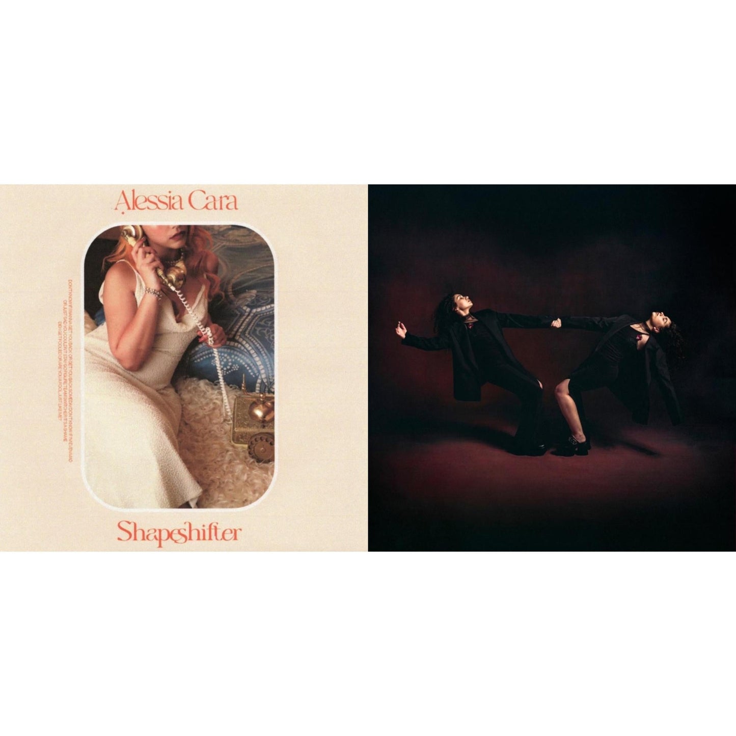 In The Meantime (2LP) & Love & Hyperbole