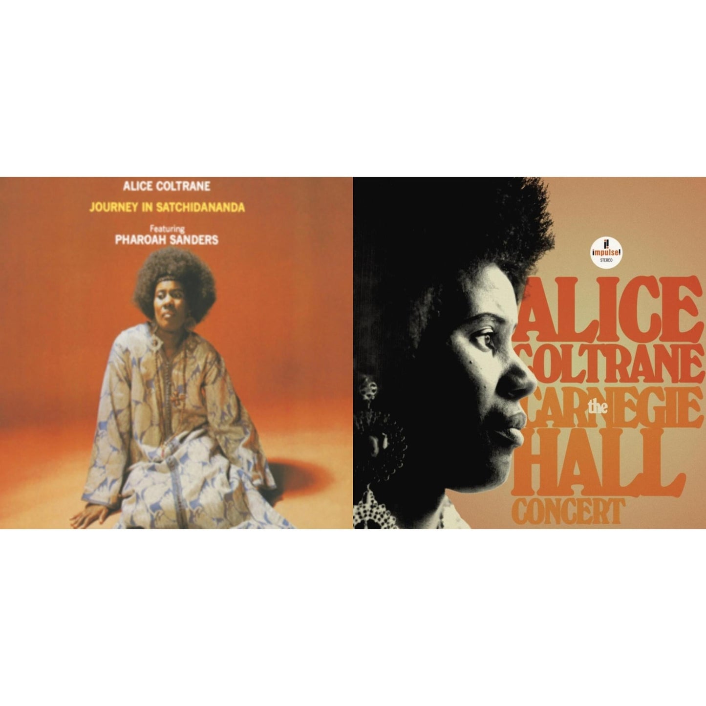Journey In Satchidananda & Carnegie Hall Concert (2LP)