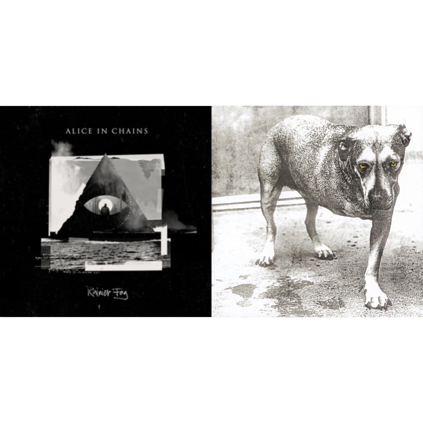 Rainier Fog & Alice In Chains