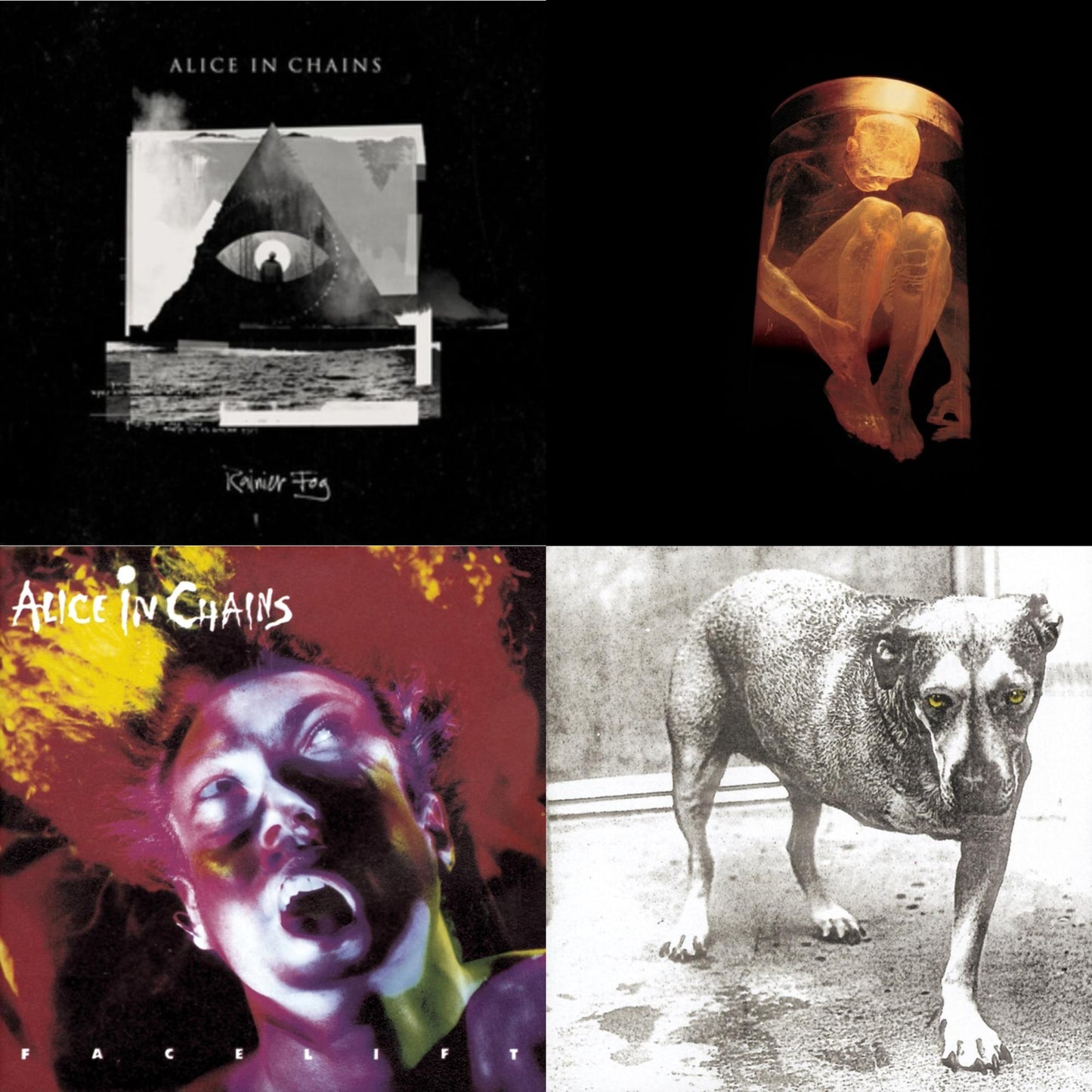 Rainier Fog & Nothing Safe: Best Of The Box & Facelift & Alice In Chains