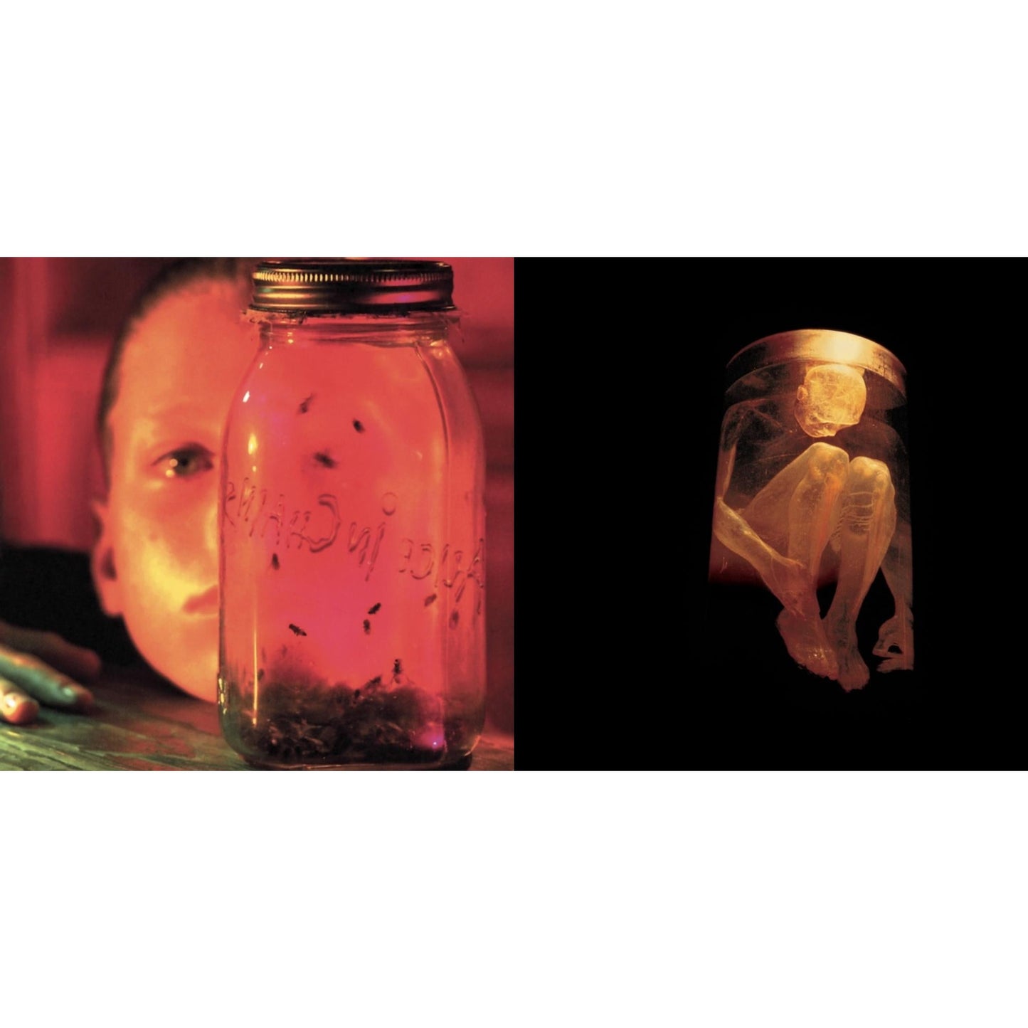 Jar Of Flies & Nothing Safe: Best Of The Box