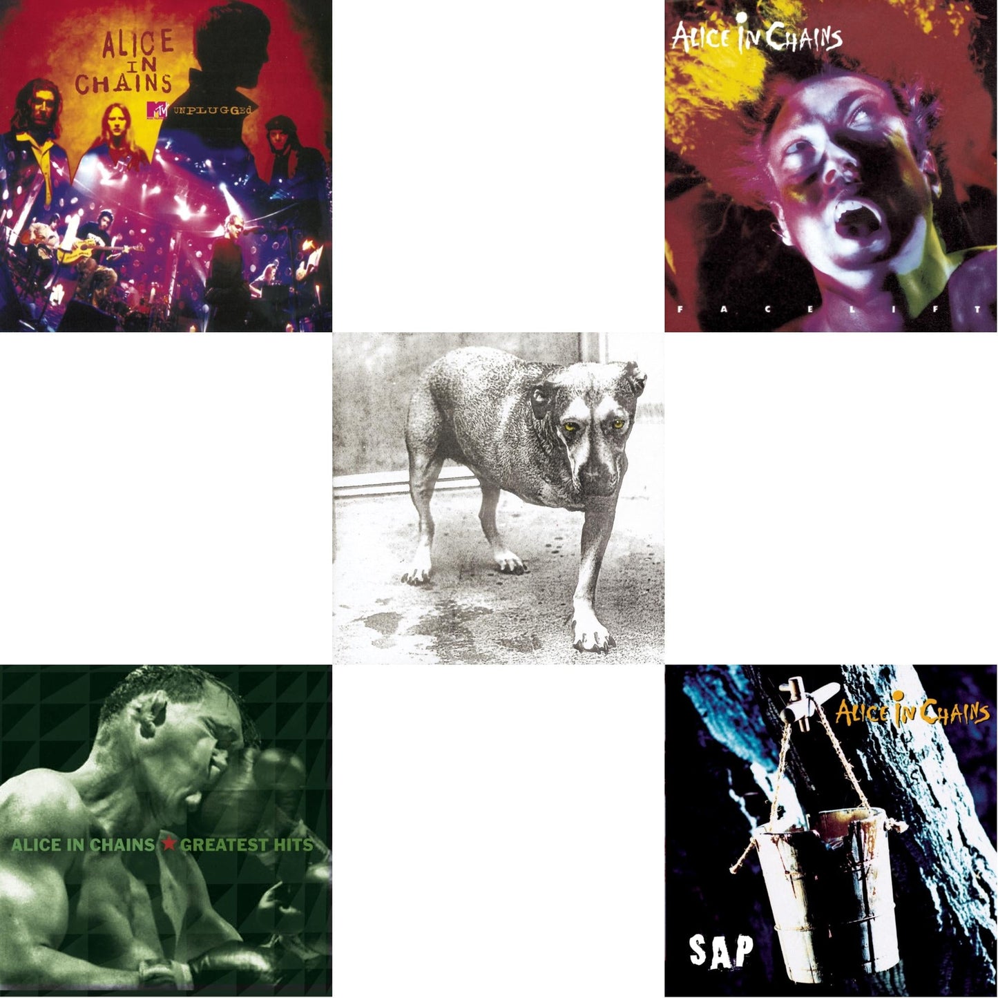 Greatest Hits & Unplugged & Sap & Facelift & Alice In Chains