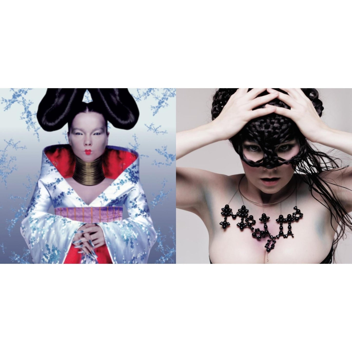 Homogenic & Medulla