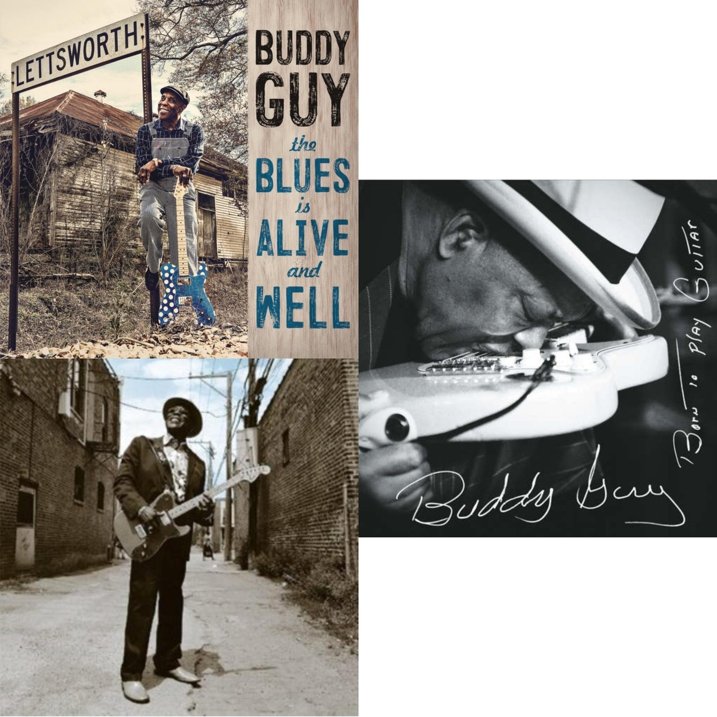 Blues Is Alive & Well (2LP/150G/Gatefold) & Bring Em In (180G) & Born To Play Guitar (2LP/150G/Gatefold)