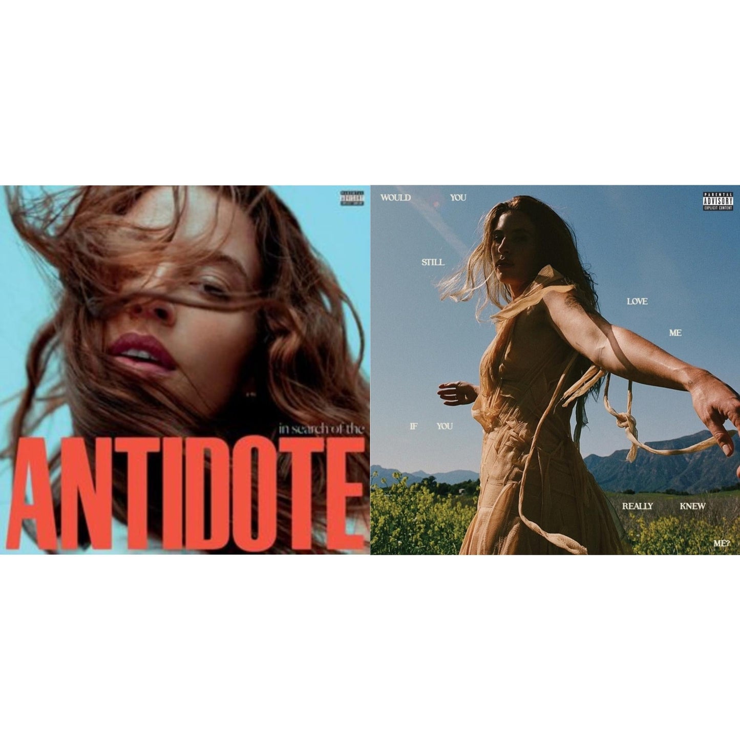In Search Of The Antidote (X) & Would You Still Love Me If You Really Knew Me? (X)
