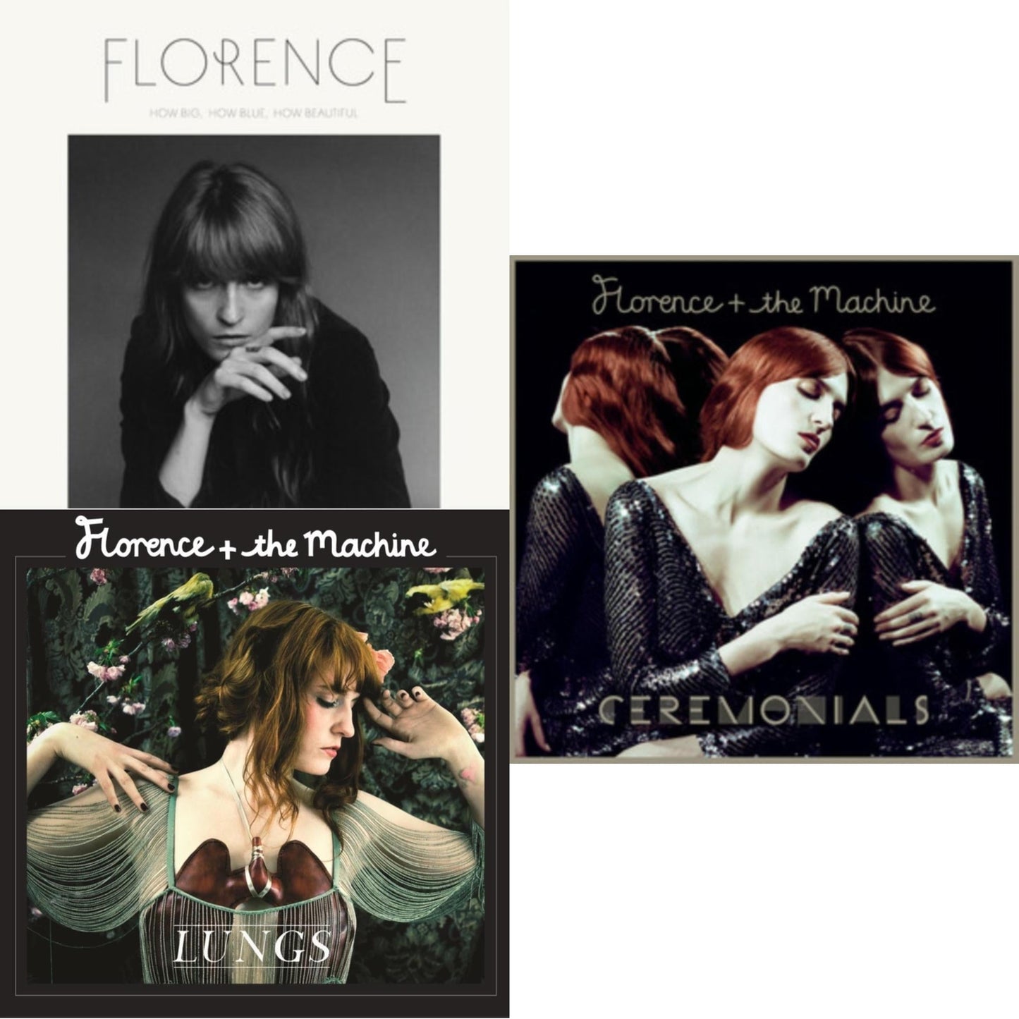 How Big, How Blue, How Beautiful (10Th Anniversary Edition) (Blue Marble Vinyl/2LP) & Lungs & Ceremonials