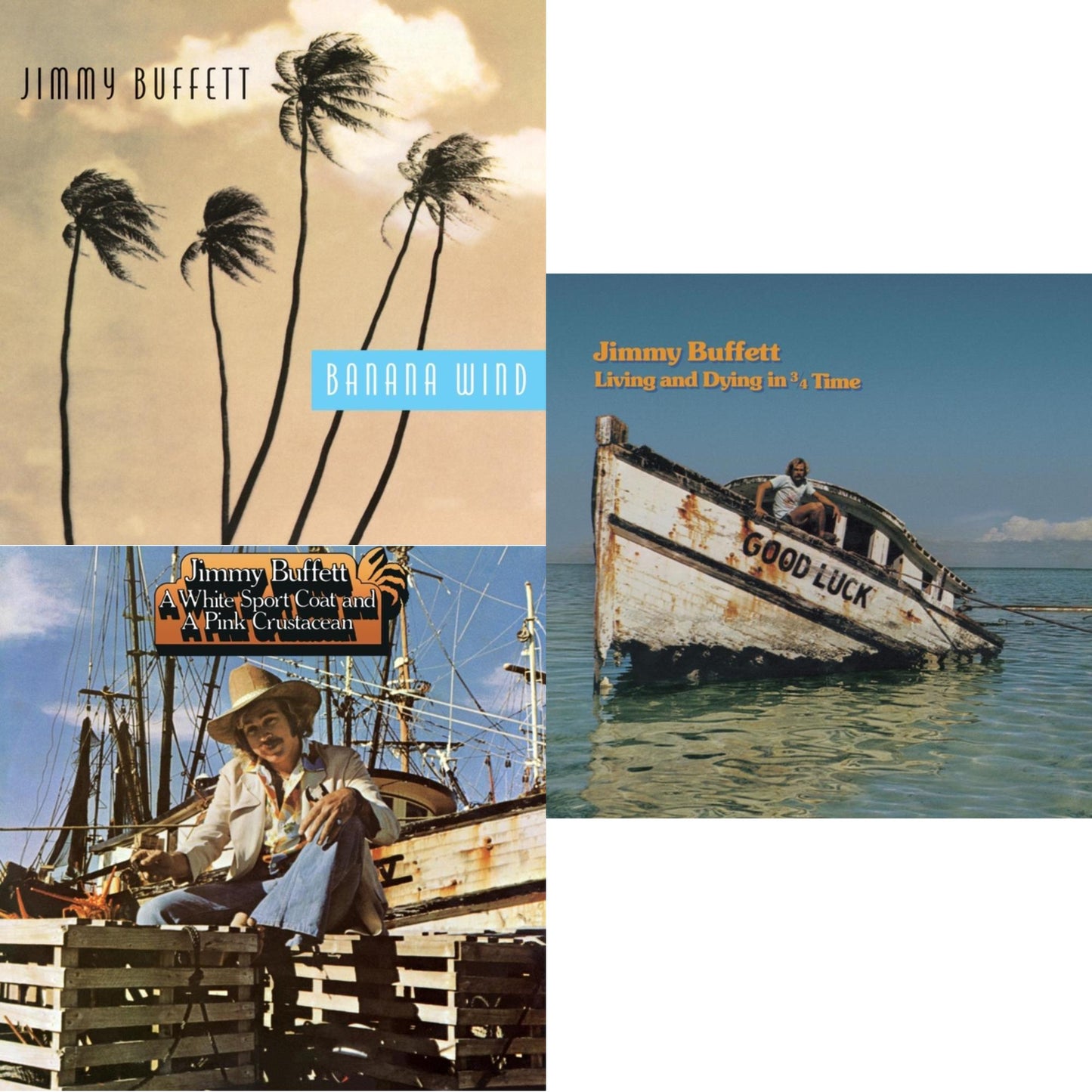 Living & Dying In 3/4 Time & White Sport Coat & A Pink Crustacean & Banana Wind (2LP)