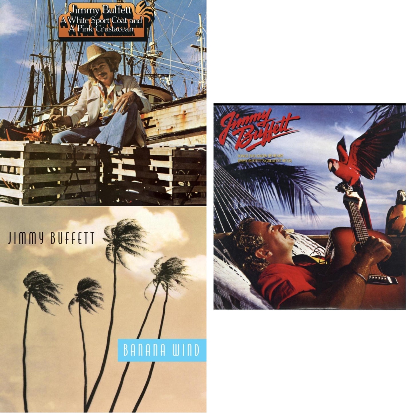 White Sport Coat & A Pink Crustacean & Banana Wind (2LP) & Songs You Know By Heart