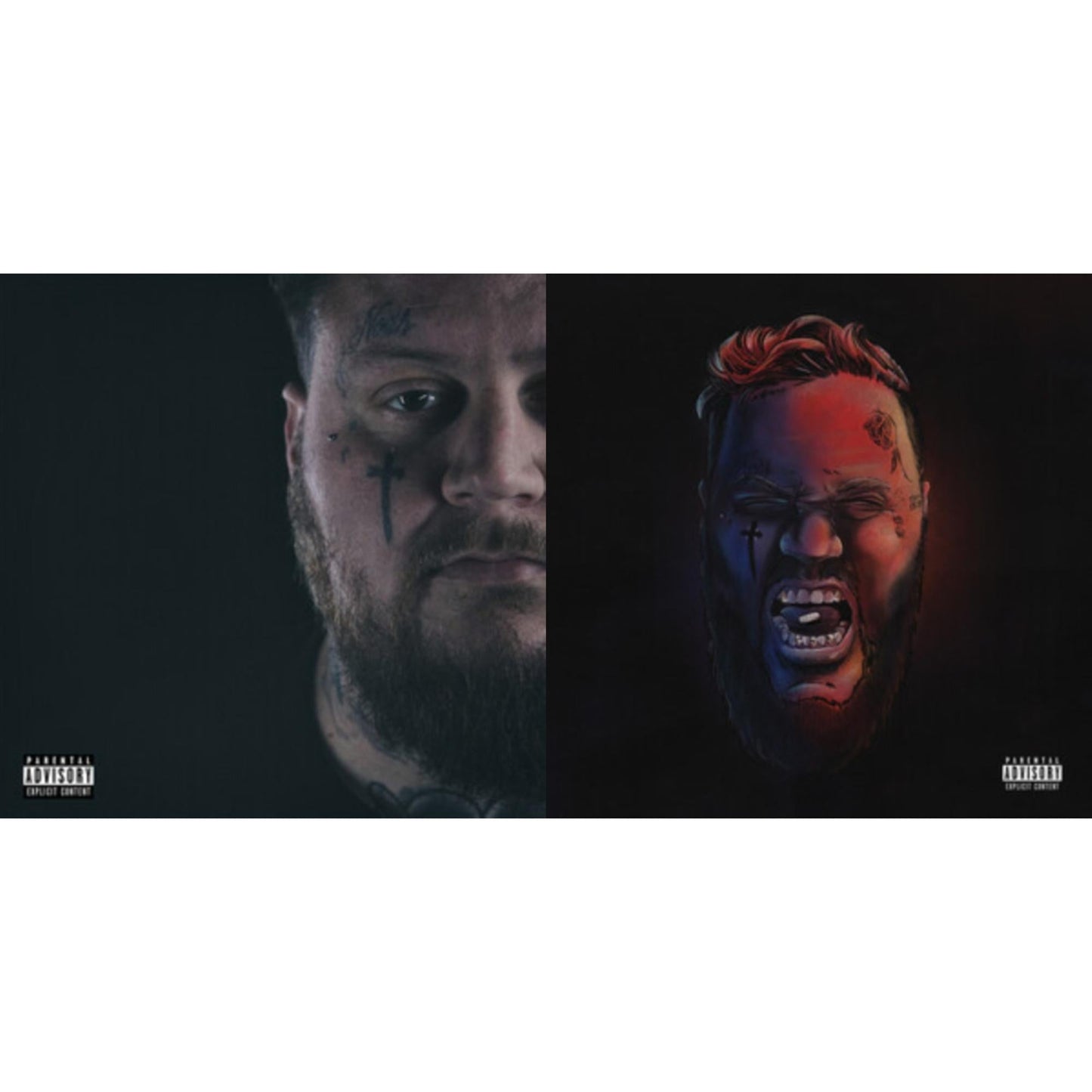 Beautiful Disaster & Self Medicated (2LP)