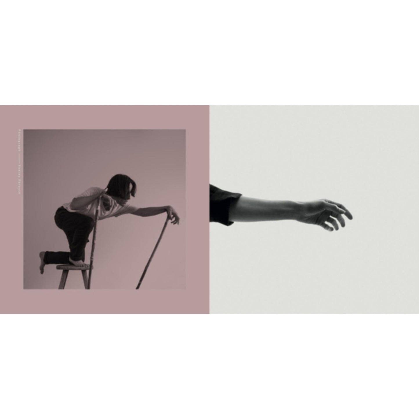 Limbs & Photograph (Dl Card)