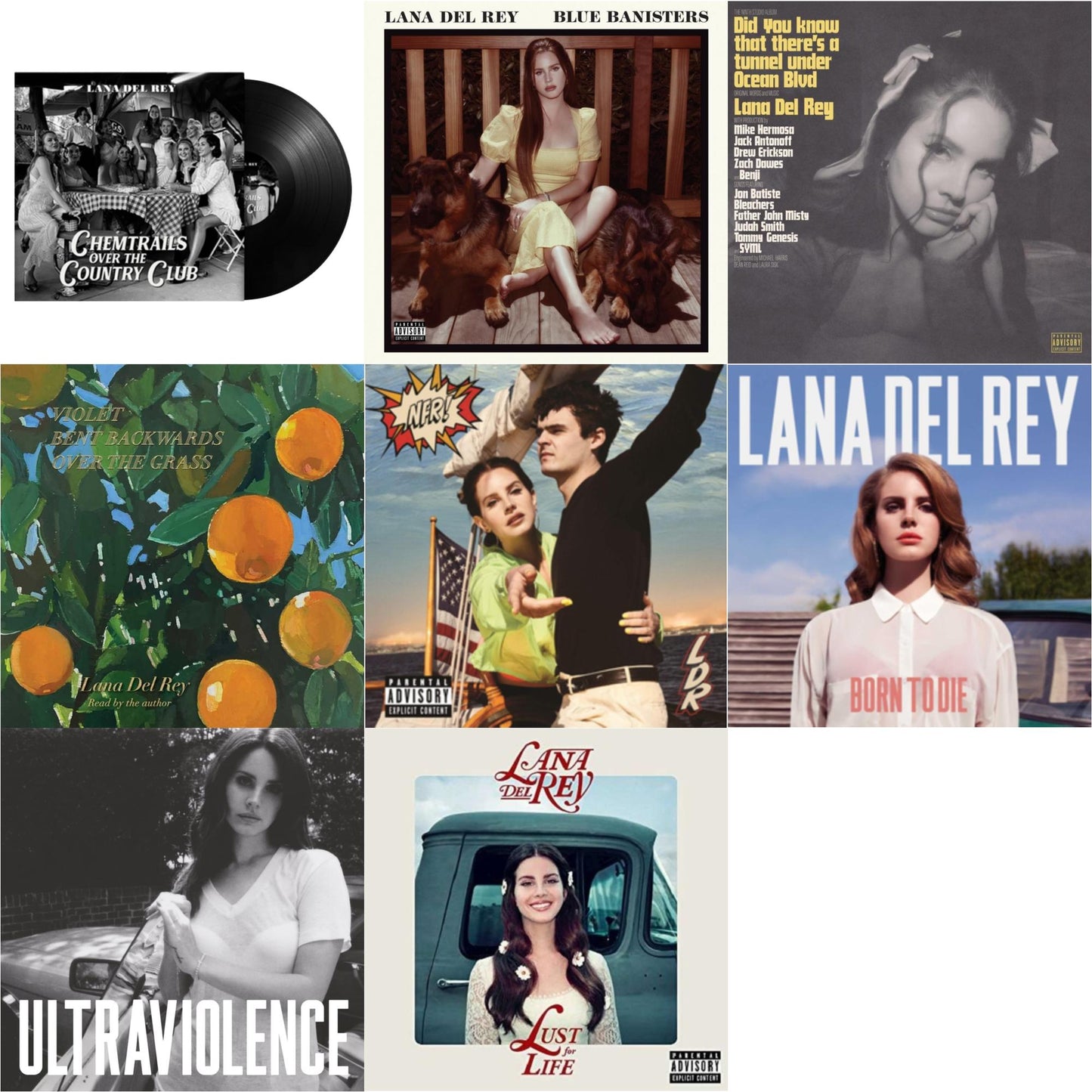 Chemtrails Over The Country Club & Blue Banisters (2LP) & Did You Know That There’S A Tunnel Under Ocean Blvd (X) (2LP/180G) & Violet Bent Backwards Over The Grass (180G) & Nfr! (2LP) & Born To Die & Ultraviolence & Lust For Life