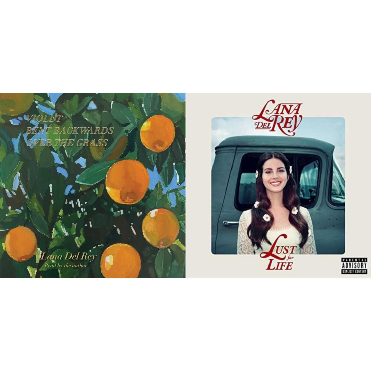 Violet Bent Backwards Over The Grass (180G) & Lust For Life