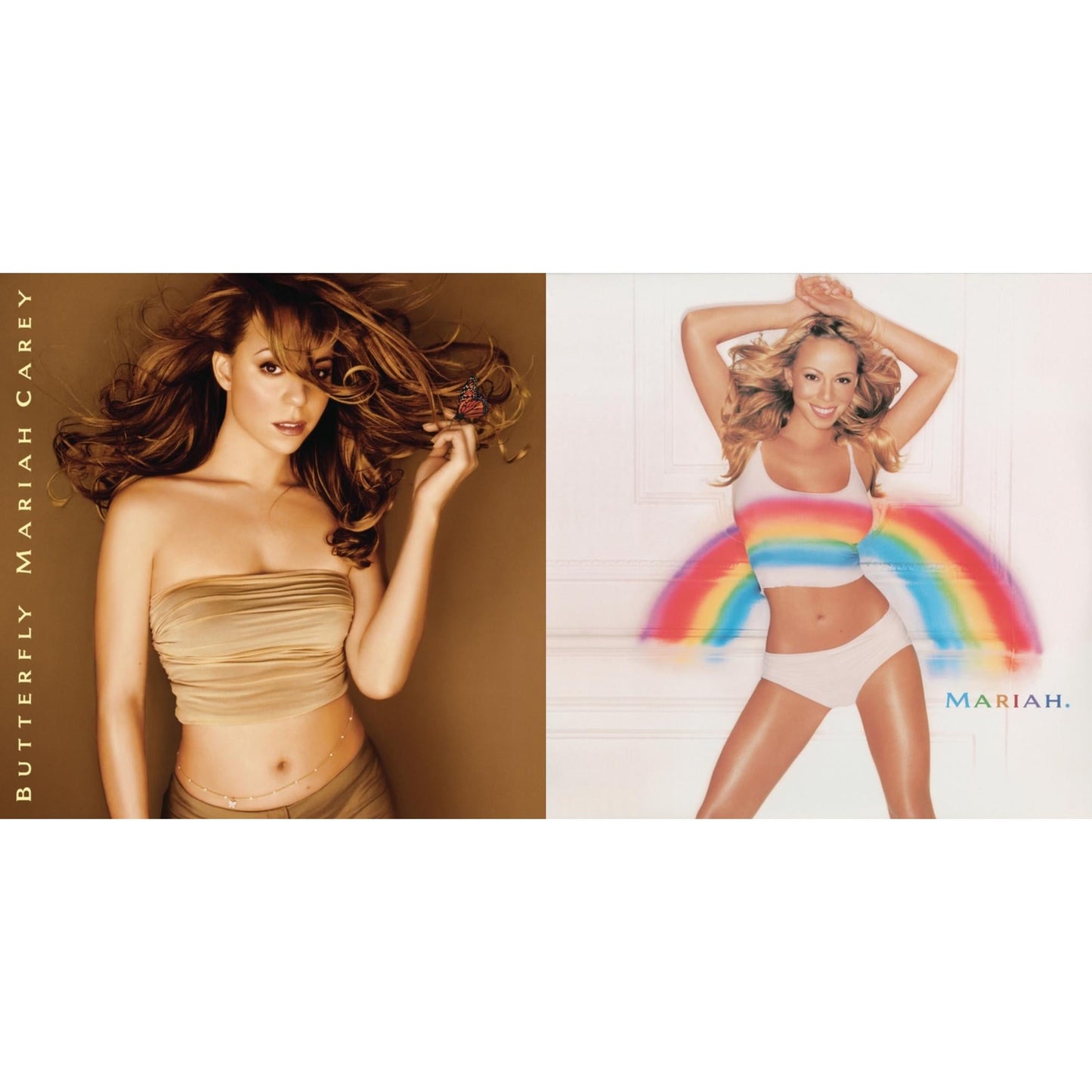Butterfly & Rainbow