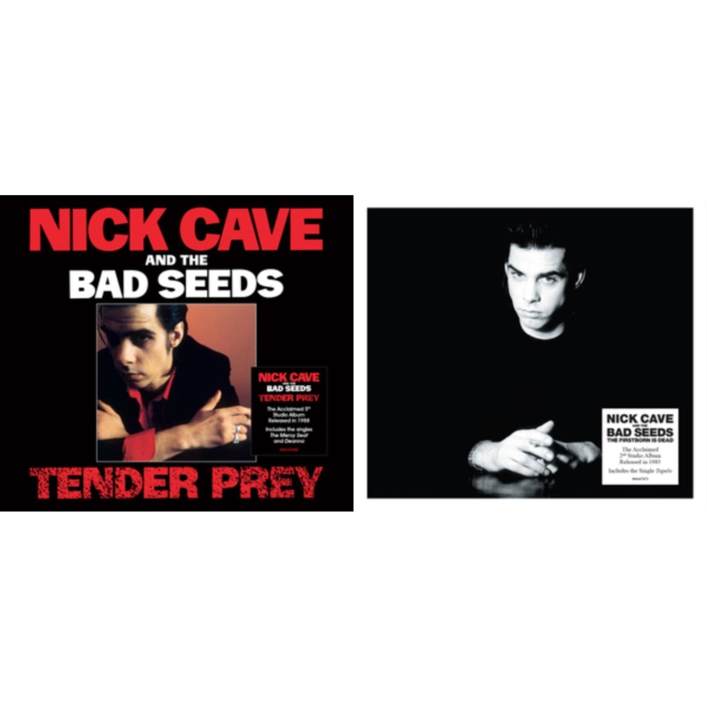 Tender Prey & Firstborn Is Dead