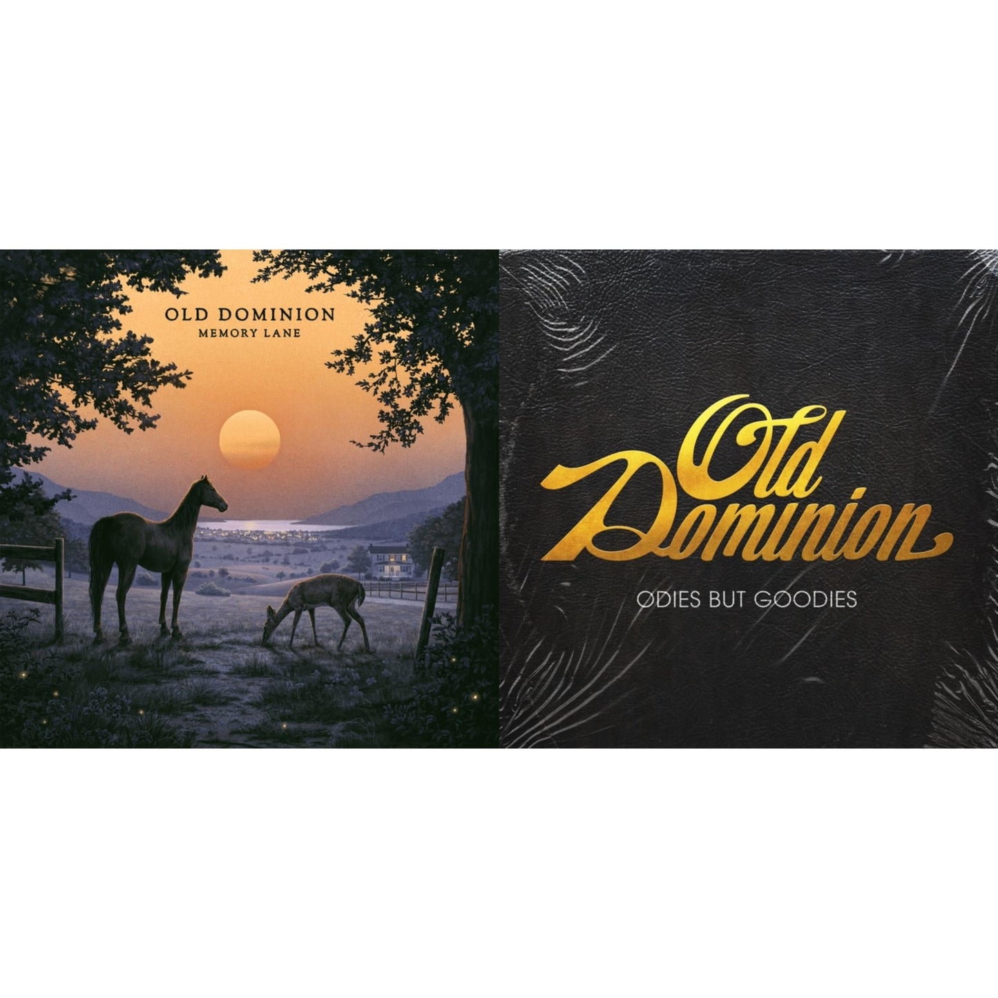 Memory Lane (2LP) & Odies But Goodies (3LP)