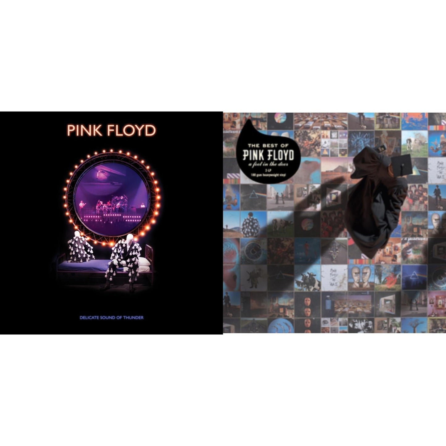 Delicate Sound Of Thunder (3LP) & Best Of Pink Floyd: A Foot In Door (2LP/180G Vinyl)