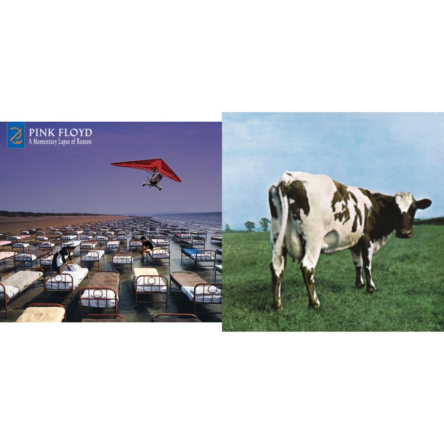 Momentary Lapse Of Reason (Remixed & Updated) & Atom Heart Mother
