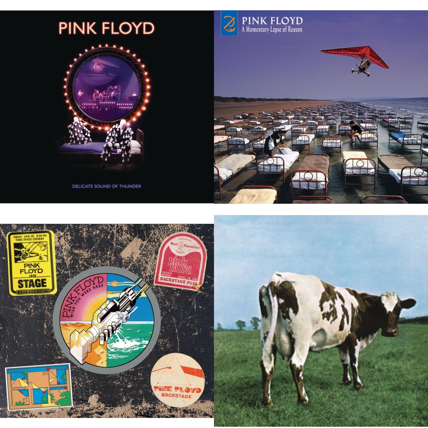 Delicate Sound Of Thunder (2CD) & Momentary Lapse Of Reason (Remixed & Updated) & Wish You Were Here (50Th Anniversary/2CD) & Atom Heart Mother