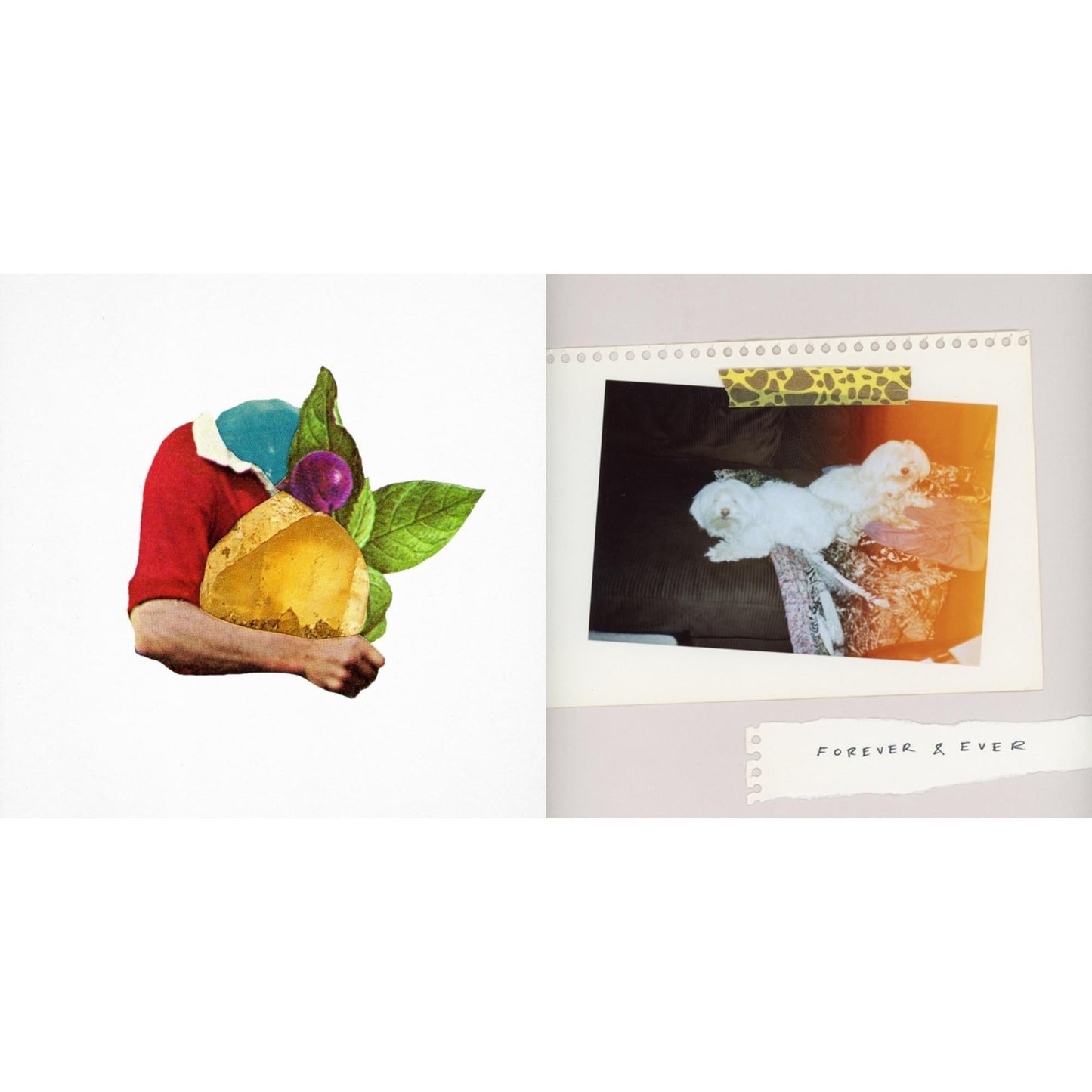 Sales LP & Forever & Ever