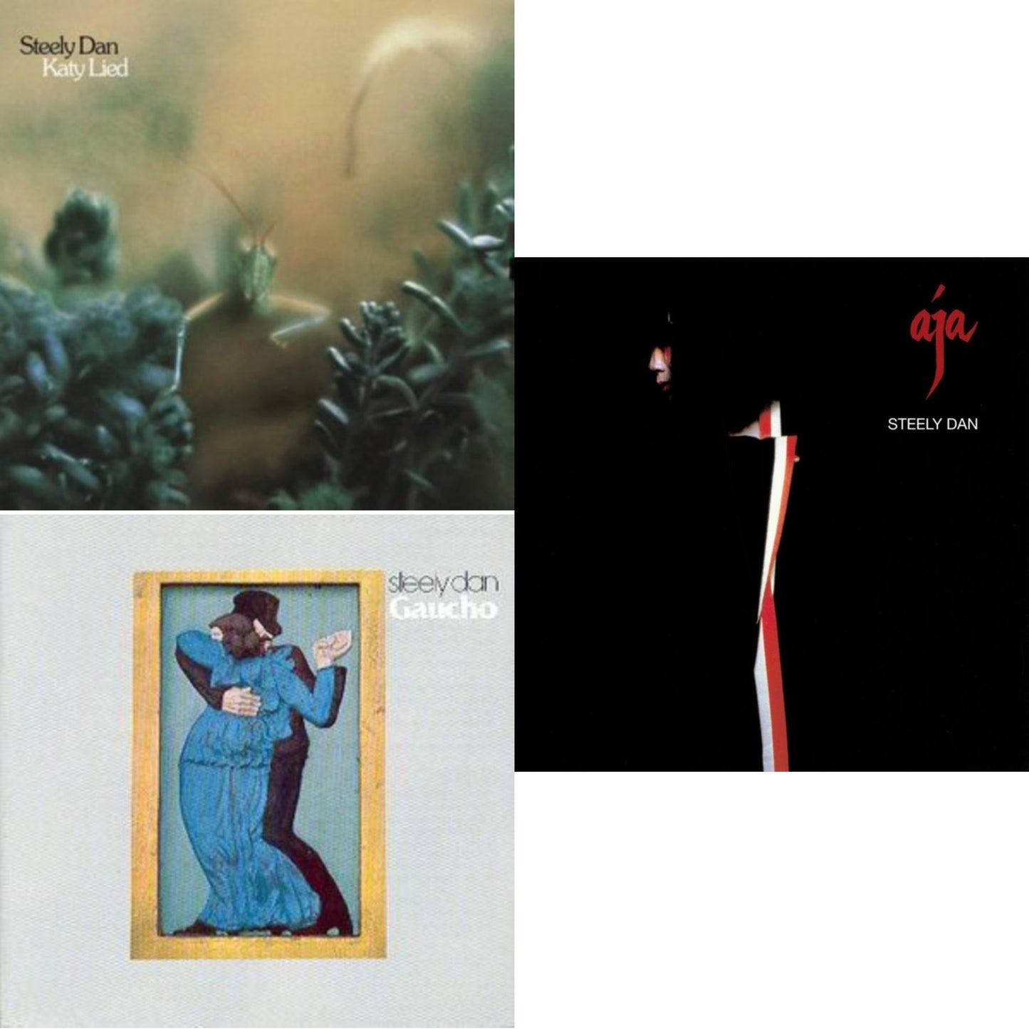 Katy Lied & Gaucho & Aja
