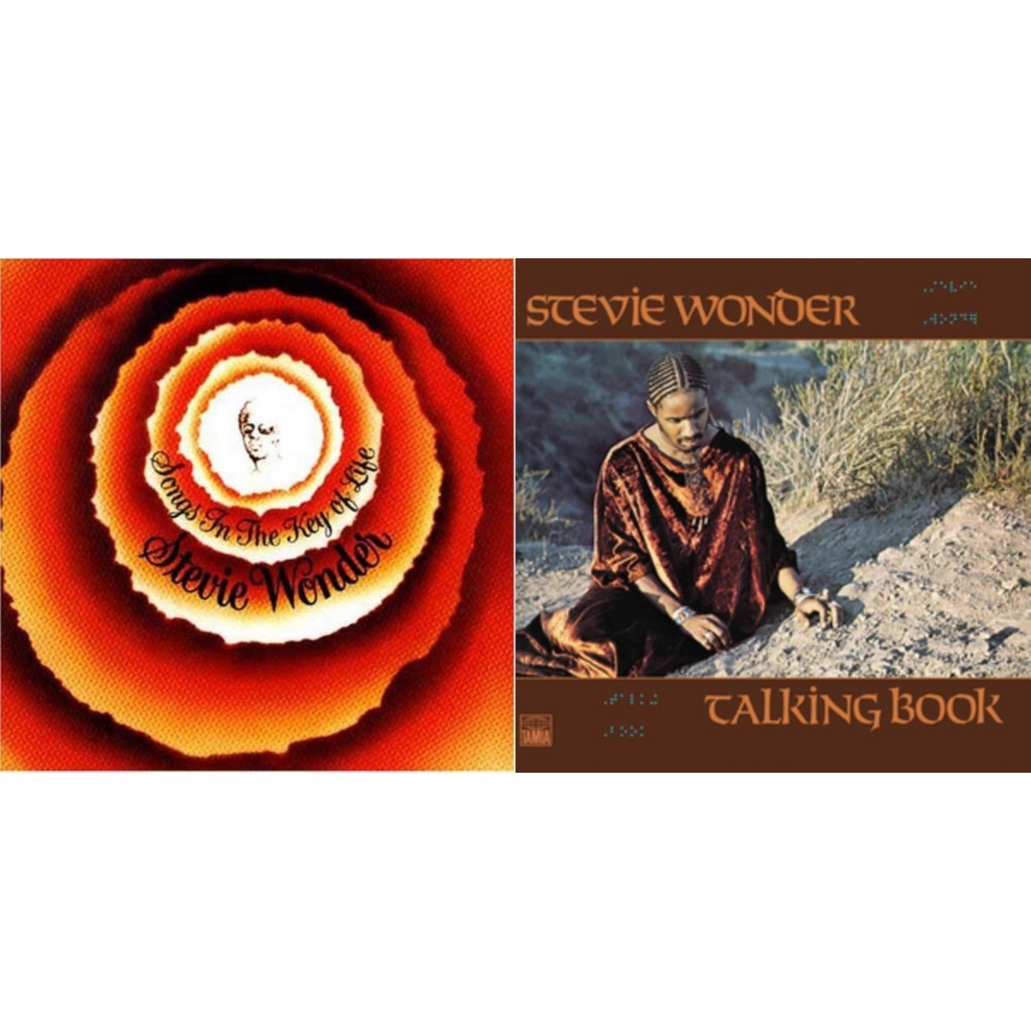 Songs In The Key Of Life & Talking Book
