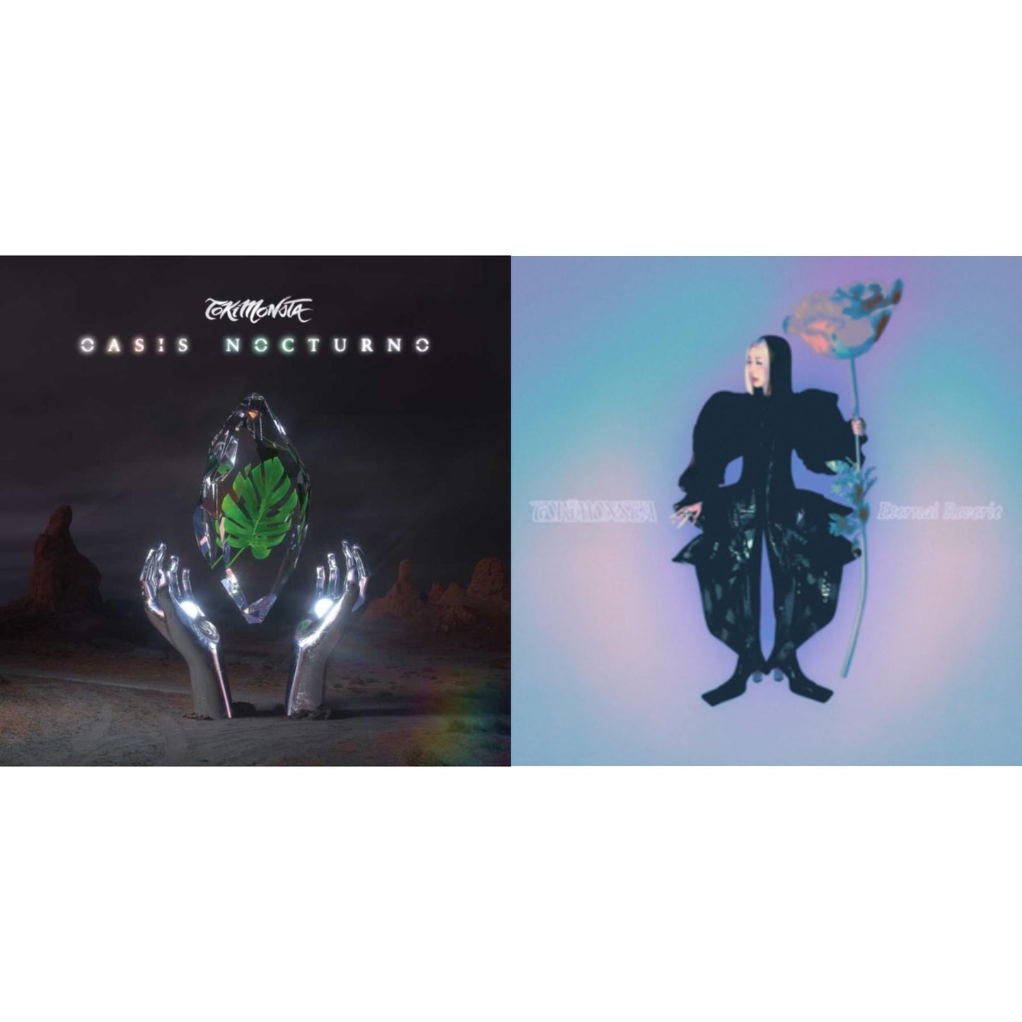Oasis Nocturno (2LP) & Eternal Reverie (Frosted Glass LP Vinyl)