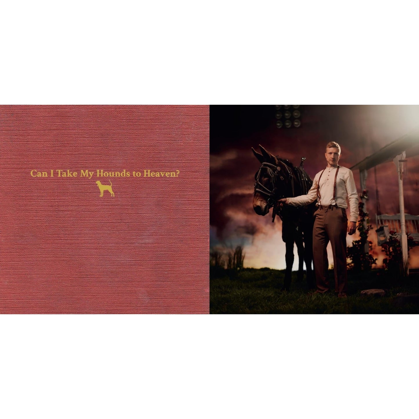 Can I Take My Hounds To Heaven? (3LP) & Rustin In The Rain