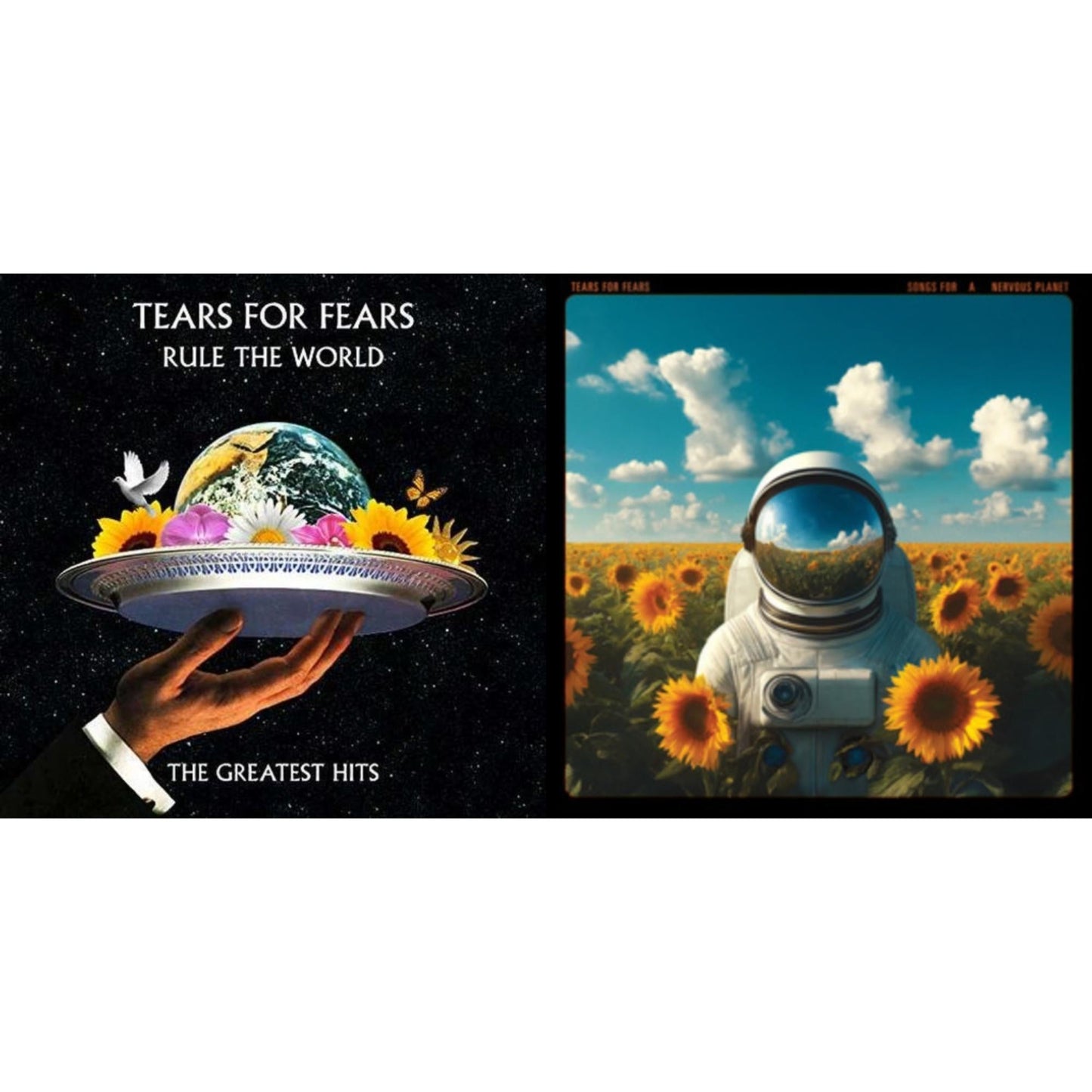 Rule The World (2LP) & Songs For A Nervous Planet (2LP)