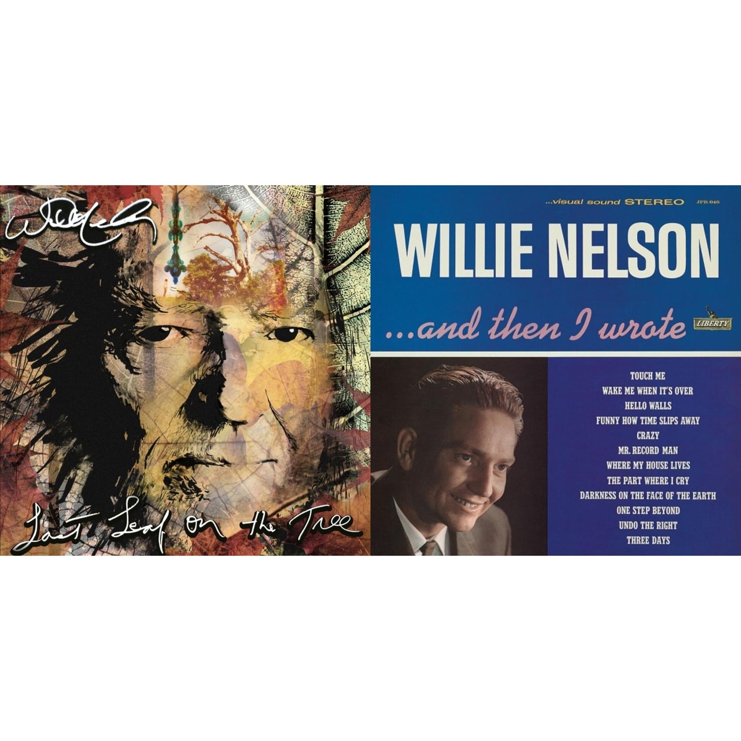 Last Leaf On The Tree (Amber Fossil Vinyl/2LP) & And Then I Wrote (Blue LP Vinyl)