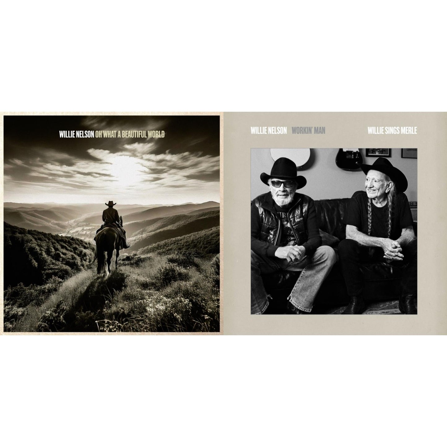 Oh What A Beautiful World & Workin Man: Willie Sings Merle