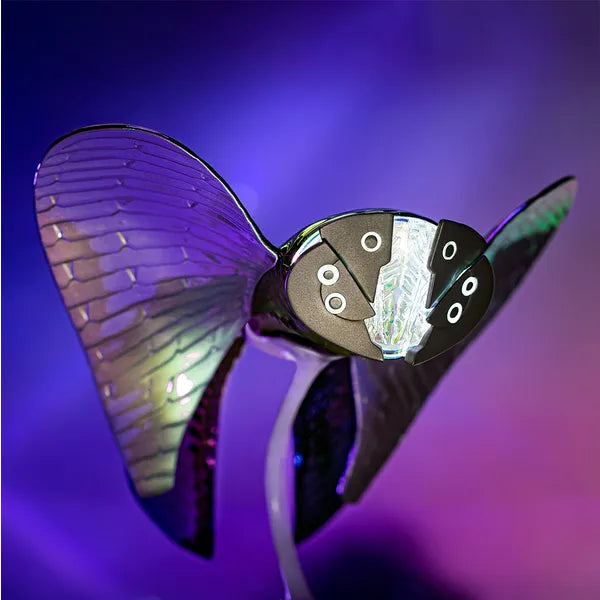 Destiny 2: Lightfall Collector's Edition - No Game Code