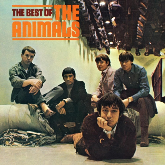Best Of The Animals & Animalization